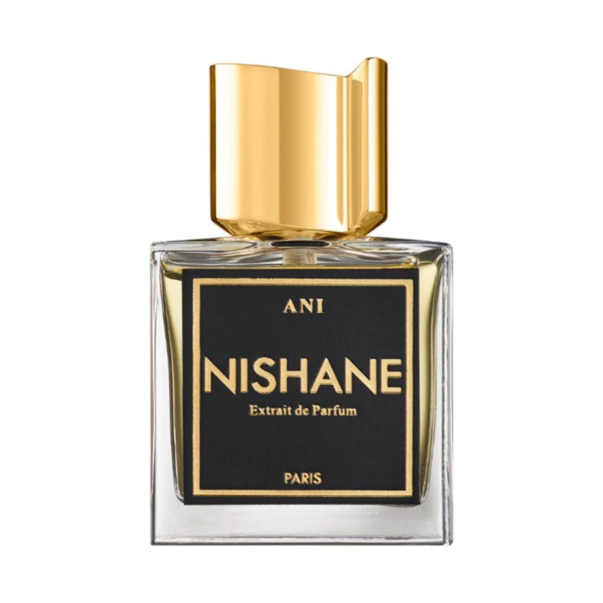 Nishane Ani