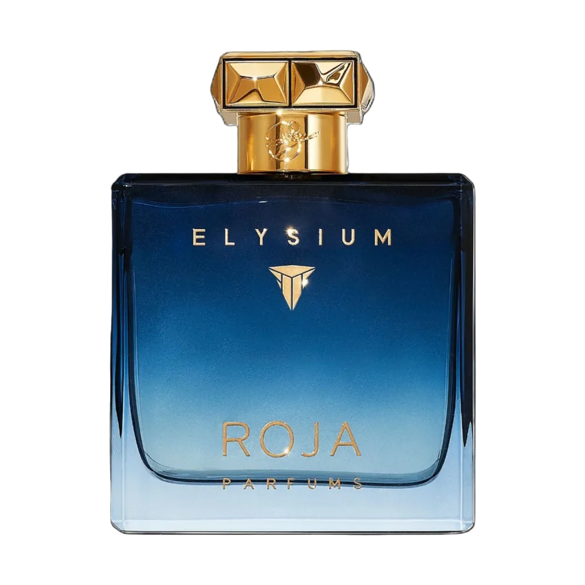 Roja Elysium Pour Homme Cologne
