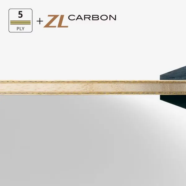 Fan Zhendong ALC CS 3